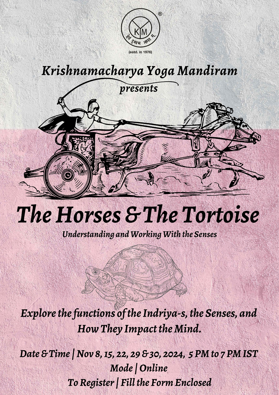 The Horses and The Tortoise | Understanding and Working With the Senses