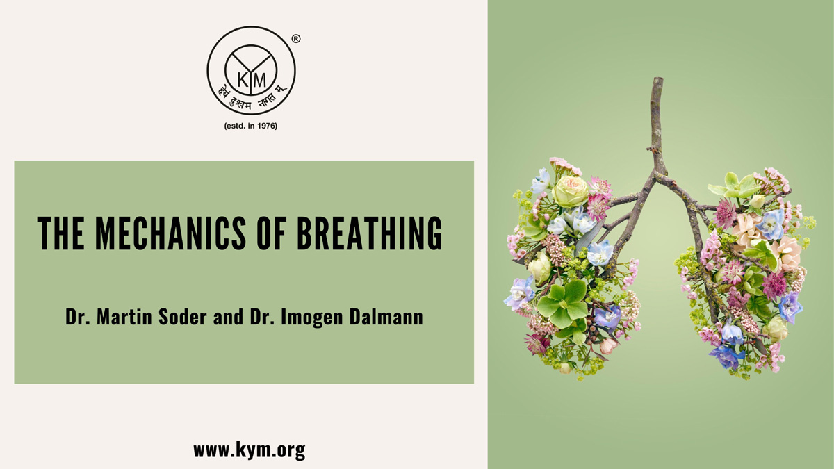 The Mechanics of Breathing